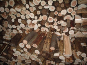 Wood 2.jpg