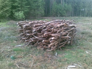 Firewood.jpg